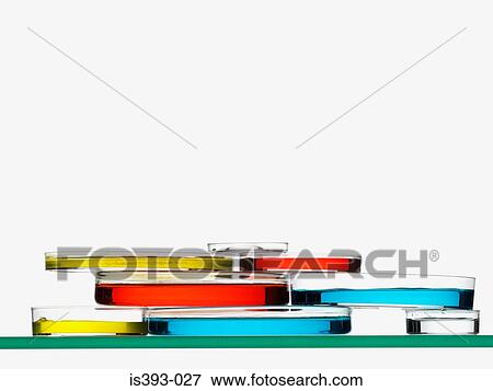Eight petri dishes View Large Photo Image Stock Photo - Eight petri dishes. Fotosearch