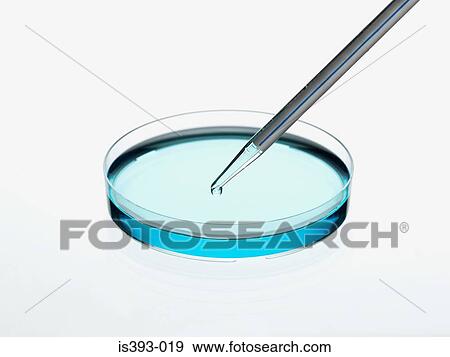 Pipette and petri dish View Large Photo Image Stock Photo - Pipette and petri dish. Fotosearch