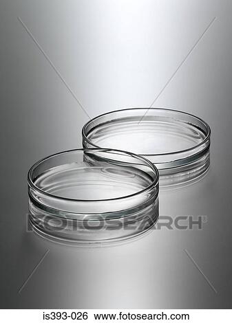 Two empty petri dishes View Large Photo Image Stock Photograph - Two empty petri dishes. Fotosearch