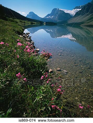 Picture - Bow lake at banff national park. Fotosearch