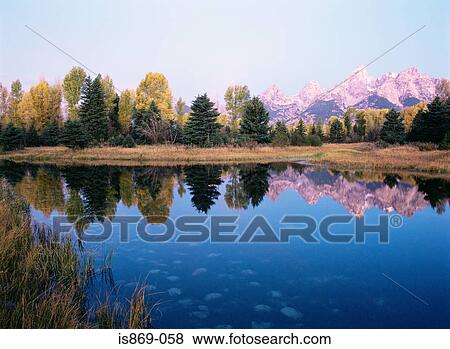 Grand teton reflecting in a beaver pond View Large Photo Image Stock Photo - Grand teton reflecting in a beaver pond. Fotosearch