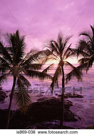 Kona kohala coast on big island View Large Photo Image Stock Photo - Kona kohala coast on big island. Fotosearch
