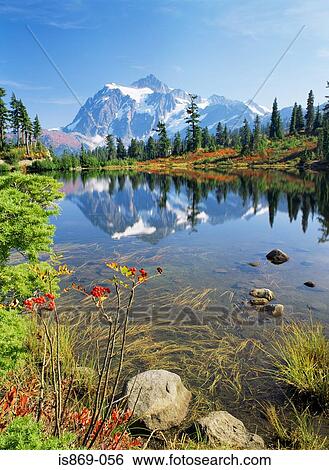 Mount shuksan and mount baker View Large Photo Image Stock Photograph - Mount shuksan and mount baker. Fotosearch