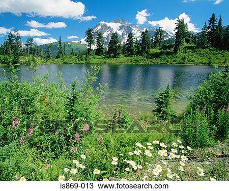Mount shuksan in north cascades national park View Large Photo Image Stock Image - Mount shuksan in north cascades national park. Fotosearch
