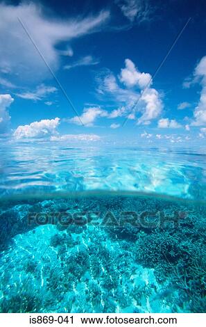 Stock Image - Palau reef. Fotosearch