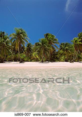 Picture Of Tabyana Beach On Roatan Island Is869 007 Search Stock Tabyana Beach On Roatan Island
