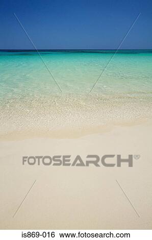 Tabyana beach on roatan island View Large Photo Image Stock Photograph - Tabyana beach on roatan island. Fotosearch