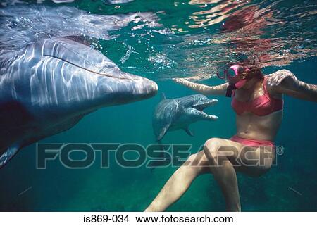 Woman swimming with dolphins View Large Photo Image Picture - Woman swimming with dolphins. Fotosearch