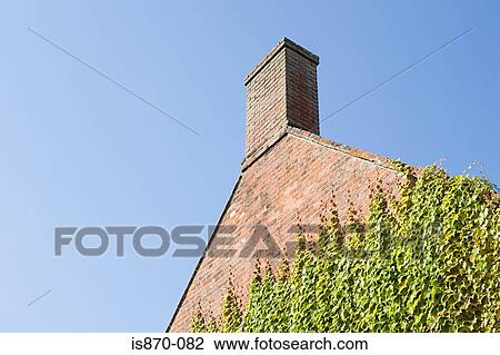 Ivy growing on a house View Large Photo Image Stock Image - Ivy growing on a house. Fotosearch