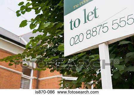 To let sign View Large Photo Image Stock Photograph - To let sign. Fotosearch