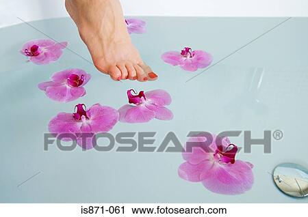 Woman putting foot in bath View Large Photo Image Stock Image - Woman putting foot in bath. Fotosearch