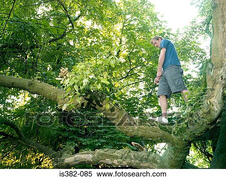 Young man playing golf in a tree View Large Photo Image Stock Photography - Young man playing golf in a tree. Fotosearch
