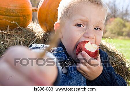 Boy eating an apple View Large Photo Image Stock Image - Boy eating an apple. Fotosearch