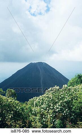 Izalco volcano el salvador View Large Photo Image Stock Photography - Izalco volcano el salvador. Fotosearch