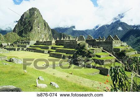 Machu picchu peru View Large Photo Image Picture - Machu picchu peru. Fotosearch