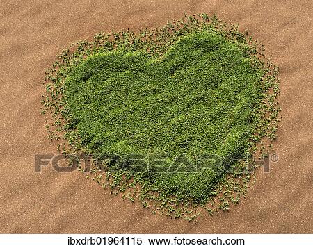 3d-visualisation of a heart-shaped grass area on a sandy surface View Large Photo Image Stock Photography - 3d-visualisation of a heart-shaped grass area on a sandy surface. Fotosearch