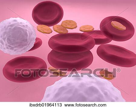 "3d-visualisation of blood cells with erythrocytes, leukocytes and platelets" View Large Photo Image Stock Image - "3d-visualisation of blood cells with erythrocytes, leukocytes and platelets". Fotosearch