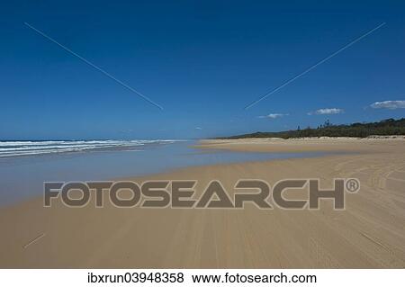 "75 Mile Beach, Fraser Island, Queensland, Australia, Oceania" View Large Photo Image Stock Photo - "75 Mile Beach, Fraser Island, Queensland, Australia, Oceania". Fotosearch