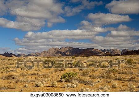 "A blue sky with white clouds over the mountainous desert landscape, Richtersveld Transfrontier National Park, Northern Cape, South Africa, Africa" View Large Photo Image Stock Image - "A blue sky with white clouds over the mountainous desert landscape, Richtersveld Transfrontier National Park, Northern Cape, South Africa, Africa". Fotosearch
