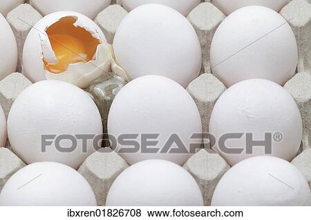 A broken egg among whole eggs in an egg carton View Large Photo Image Stock Photo - A broken egg among whole eggs in an egg carton. Fotosearch