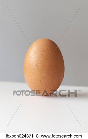 Stock Photo - A brown egg. Fotosearch