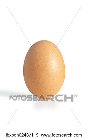 A brown egg View Large Photo Image Stock Photo - A brown egg. Fotosearch