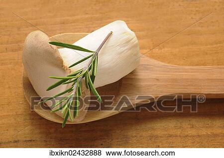 A French horn mushroom (Pleurotus eryngii) on a wooden spoon View Large Photo Image Stock Photo - A French horn mushroom (Pleurotus eryngii) on a wooden spoon. Fotosearch