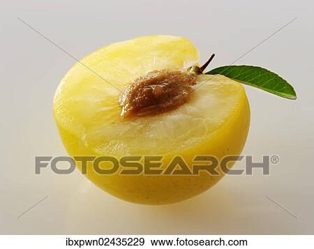 A fresh yellow plum View Large Photo Image Stock Photo - A fresh yellow plum. Fotosearch