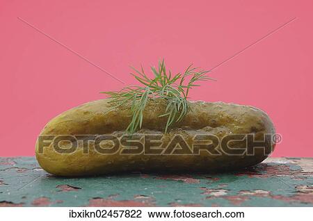 A gherkin with dill View Large Photo Image Stock Image - A gherkin with dill. Fotosearch