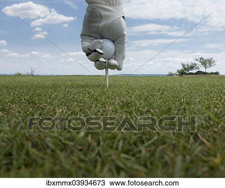 "A golf ball is placed on a tee, Germany, Europe" View Large Photo Image Stock Image - "A golf ball is placed on a tee, Germany, Europe". Fotosearch