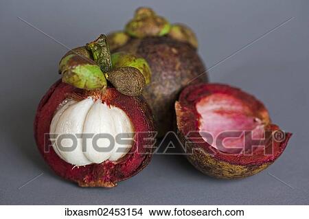A halved and a whole Mangosteen (Garcinia mangostana) View Large Photo Image Picture - A halved and a whole Mangosteen (Garcinia mangostana). Fotosearch