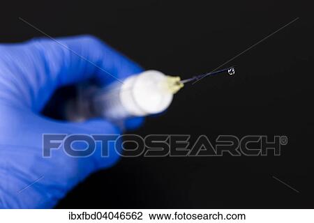 A hand with a blue medical glove is holding a syringe with a hypodermic needle and a drop of medicine View Large Photo Image Stock Image - A hand with a blue medical glove is holding a syringe with a hypodermic needle and a drop of medicine. Fotosearch