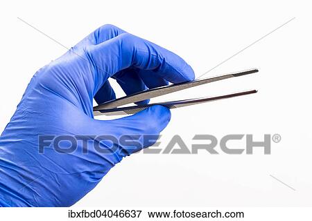 Stock Photo - A hand with a blue medical glove is holding tweezers. Fotosearch