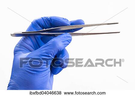A hand with a blue medical glove is holding tweezers View Large Photo Image Stock Photo - A hand with a blue medical glove is holding tweezers. Fotosearch