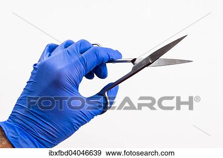 A hand with a blue medical glove is holding a pair of scissors View Large Photo Image Stock Photo - A hand with a blue medical glove is holding a pair of scissors. Fotosearch