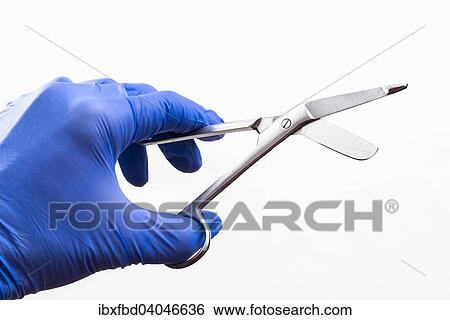 A hand with a blue medical glove is holding a pair of bandage scissors View Large Photo Image Stock Photograph - A hand with a blue medical glove is holding a pair of bandage scissors. Fotosearch