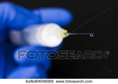 A hand with a blue medical glove is holding a syringe with a hypodermic needle and a drop of medicine View Large Photo Image Stock Photography - A hand with a blue medical glove is holding a syringe with a hypodermic needle and a drop of medicine. Fotosearch