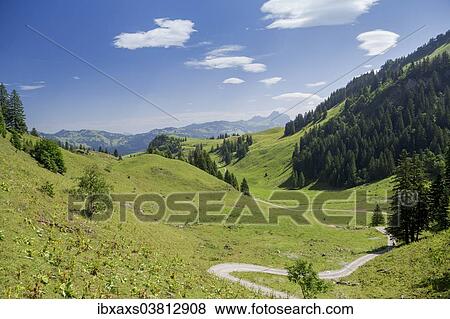"A path leading across lush meadows, Frontal valley, Stoos, Morschach, canton of Schwyz, Switzerland, Europe" View Large Photo Image Stock Photo - "A path leading across lush meadows, Frontal valley, Stoos, Morschach, canton of Schwyz, Switzerland, Europe". Fotosearch