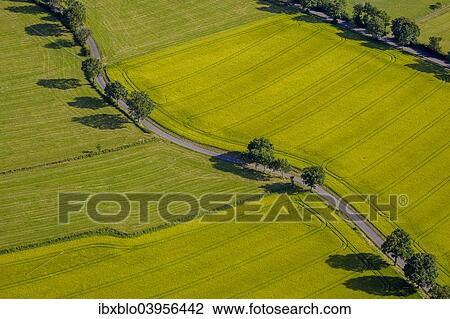 "Aerial photo, country road with trees, Schmallenberg, Sauerland, North Rhine-Westphalia, Germany, Europe" View Large Photo Image Stock Image - "Aerial photo, country road with trees, Schmallenberg, Sauerland, North Rhine-Westphalia, Germany, Europe". Fotosearch