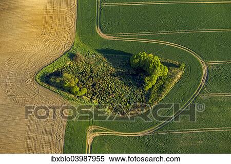 Stock Photography - "Aerial view, copse, fields, Muhl Rosin, Mecklenburg-Western Pomerania, Germany, Europe". Fotosearch