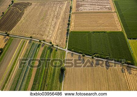 "Aerial view, country roads junction in fields, Werl, Soest Borde, North Rhine-Westphalia, Germany, Europe" View Large Photo Image Stock Photograph - "Aerial view, country roads junction in fields, Werl, Soest Borde, North Rhine-Westphalia, Germany, Europe". Fotosearch