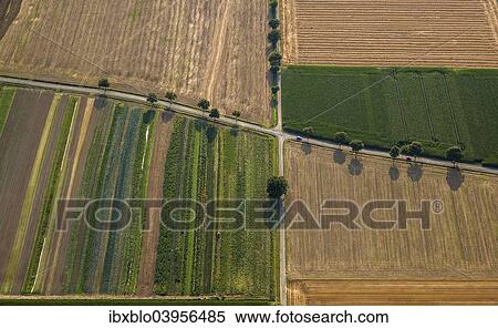 "Aerial view, country roads junction in fields, Werl, Soest Borde, North Rhine-Westphalia, Germany, Europe" View Large Photo Image Stock Photography - "Aerial view, country roads junction in fields, Werl, Soest Borde, North Rhine-Westphalia, Germany, Europe". Fotosearch