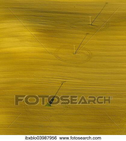 "Aerial view, electricity pylons in a field, Gutov, Mecklenburg-Western Pomerania, Germany, Europe" View Large Photo Image Stock Photograph - "Aerial view, electricity pylons in a field, Gutov, Mecklenburg-Western Pomerania, Germany, Europe". Fotosearch
