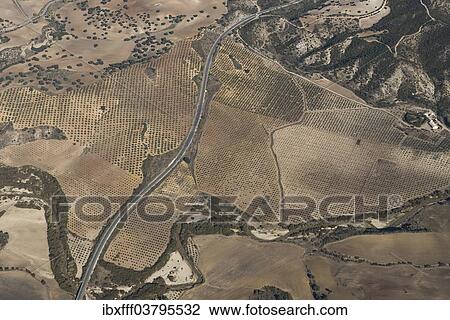"Aerial view, fields in the Sierra de Cadiz, Andalusia, Spain, Europe" View Large Photo Image Stock Image - "Aerial view, fields in the Sierra de Cadiz, Andalusia, Spain, Europe". Fotosearch