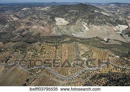 "Aerial view, fields in the Sierra de Cadiz, Andalusia, Spain, Europe" View Large Photo Image Stock Photography - "Aerial view, fields in the Sierra de Cadiz, Andalusia, Spain, Europe". Fotosearch