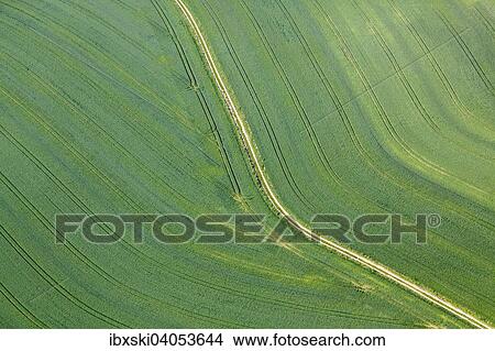 "Aerial view, green wheat field with an agricultural road, Landshut, Lower Bavaria, Bavaria, Germany, Europe" View Large Photo Image Picture - "Aerial view, green wheat field with an agricultural road, Landshut, Lower Bavaria, Bavaria, Germany, Europe". Fotosearch