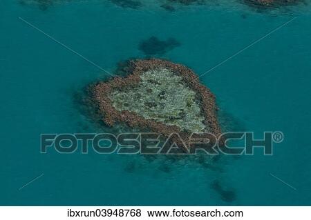 "Aerial view, Heart Reef, Great Barrier Reef, UNESCO World Heritage Site, Queensland, Australia, Oceania" View Large Photo Image Stock Photo - "Aerial view, Heart Reef, Great Barrier Reef, UNESCO World Heritage Site, Queensland, Australia, Oceania". Fotosearch