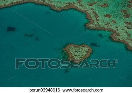 "Aerial view, Heart Reef, Great Barrier Reef, UNESCO World Heritage Site, Queensland, Australia, Oceania" View Large Photo Image Stock Photograph - "Aerial view, Heart Reef, Great Barrier Reef, UNESCO World Heritage Site, Queensland, Australia, Oceania". Fotosearch