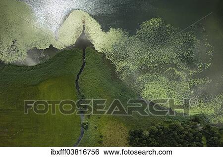 "Aerial view, lake shore, Bannwaldsee, Allgau, Bavaria, Germany, Europe" View Large Photo Image Stock Photograph - "Aerial view, lake shore, Bannwaldsee, Allgau, Bavaria, Germany, Europe". Fotosearch