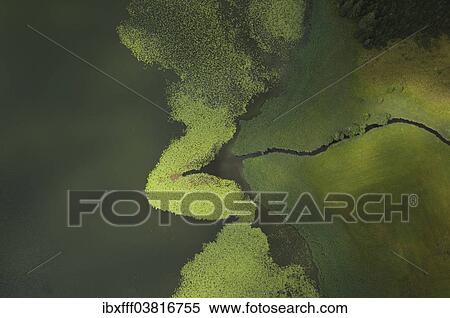 "Aerial view, lake shore, Bannwaldsee, Muhlberger Ach, Allgau, Bavaria, Germany, Europe" View Large Photo Image Stock Photography - "Aerial view, lake shore, Bannwaldsee, Muhlberger Ach, Allgau, Bavaria, Germany, Europe". Fotosearch